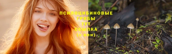 марихуана Абинск