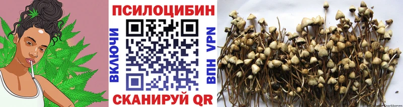 Галлюциногенные грибы мицелий  купить закладку  Карачев 
